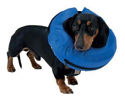 Colar Elizabetano Inflável Para Cães Kruuse Buster Collar M Cor Outro