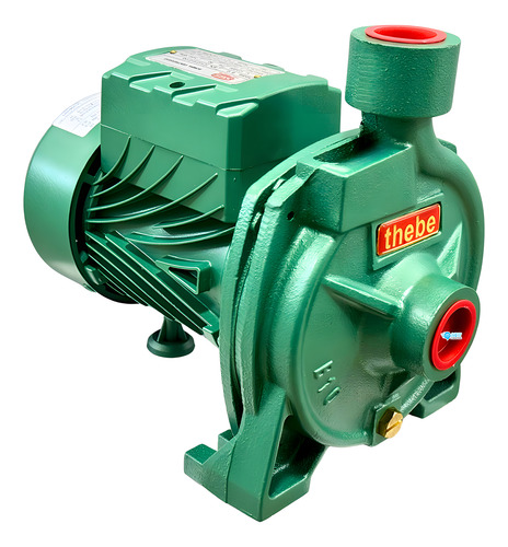 Bomba Centrifuga B-10 Thebe 1/2cv 127/220v Rotor Em Bronze