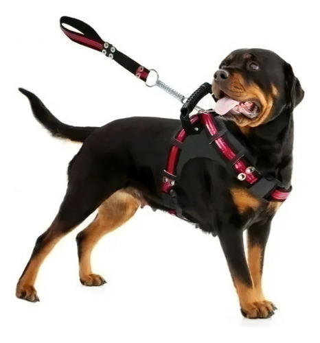 Guia Para Cães Coleira Peitoral Com Alça Reforçado Pit Bull Cor Preto com Vermelho Tamanho da coleira P