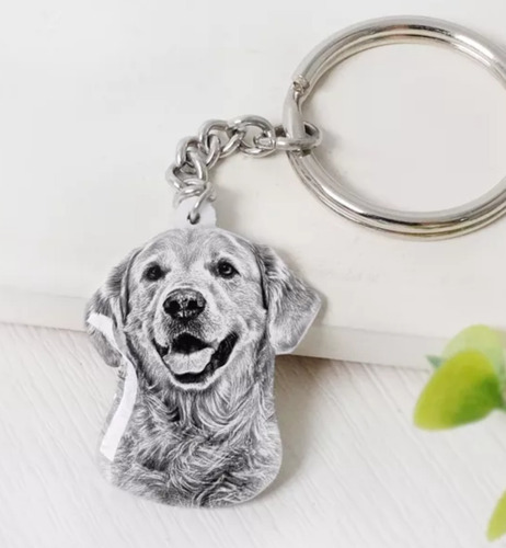 Llavero En Diseño De Mascota Personalizable Con Foto Y Texto