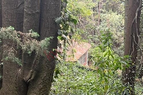 Imagen 18 de 25 de Terreno De 4,418 Metros En Venta En El Desierto De Los Leones