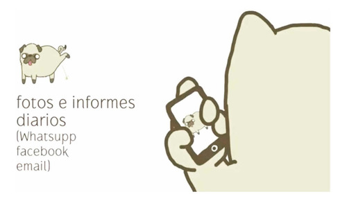 Imagen 3 de 5 de Cuidado De Mascotas