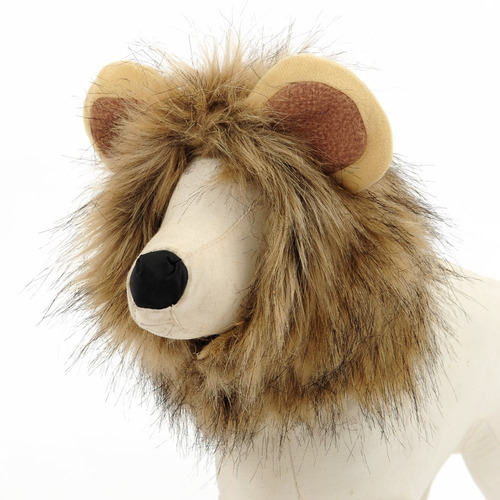 Imagen 6 de 6 de Gato León Melena Mascotas León Traje Para Mascotas León Cabe