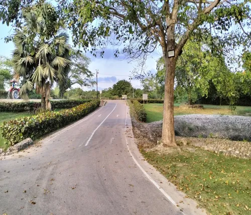 Lotes Conjunto Campestre La Bonga Sabanagrande Atlántico