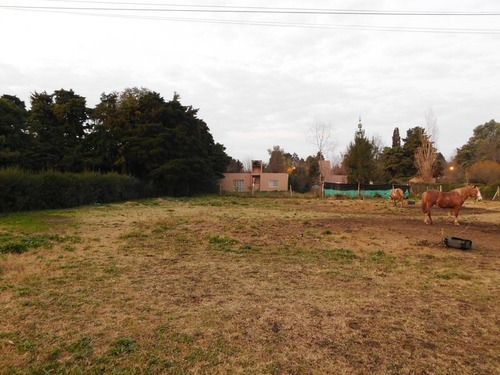 Imagen 3 de 11 de Venta - Lote 730m2 - Parque Sakura - Exaltación De La Cruz