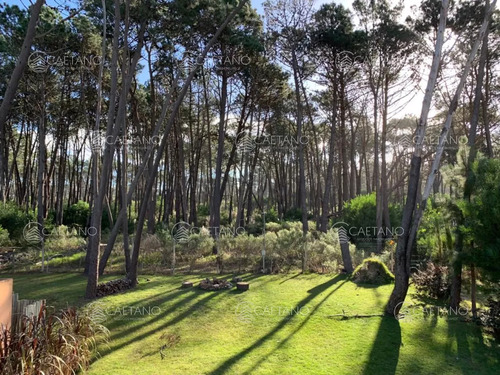 Casa En Alquiler Laguna Blanca Manantiales Punta Del Este Cuatro Dormitorios