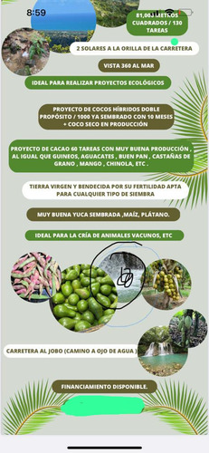 1504- Finca En Gaspar Hernández