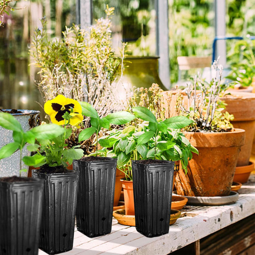 30 Piezas De Altura De De Planta De Planta De Planta De