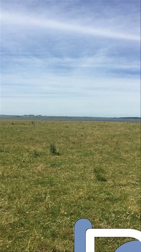 Excelente Campo Con Costa Al Río Negro, 215 Há.