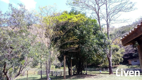 Imagem 13 de 20 de Chacara Com 40 Mil Metros Quadrados - 8553
