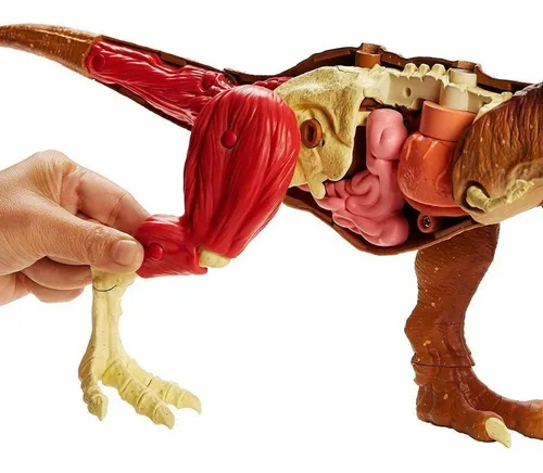 Mattel jurassic world stem cheap tyrannosaurus rex anatomy kit