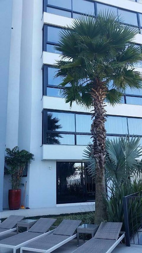 Imagem 4 de 13 de Apartamento Com 4 Dormitórios À Venda, 211 M² - Cidade Nova - Ivoti/rs - Ap0975