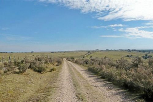 Campo Ideal Forestal En Lavalleja Ref. 381