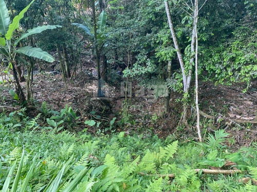 Imagem 4 de 17 de Terreno À Venda No Bairro Moura - Canelinha/sc - 2171t