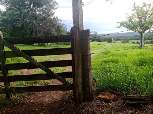 Imagem 7 de 30 de 14 Alqueires Região Angatuba Sp Com Casa Simples Bão Água Luz, Ótima Localização, 10 Km Angatuba Por Estrada Cascalhada Oportunidade... - St00037 - 68969916