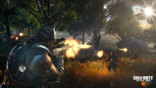 Imagen 5 de 5 de Call Of Duty Black Ops 4 - Playstation 4