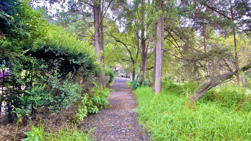 Terreno En Venta Fraccionamiento Rancho San Francisco