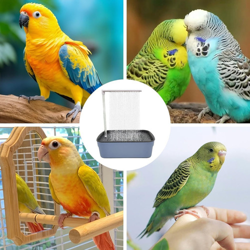 Baño Automático Para Pájaros, Comedero Para Pájaros