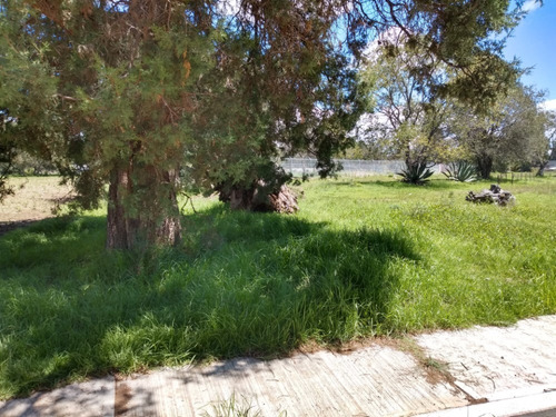 Imagen 1 de 14 de Venta Terreno Urbanizado Apizaco Calpulalpan Y Tlaxcala Cerc