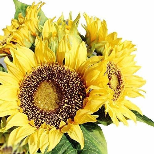 Girasoles Artificiales Realistas 35cm 1 Ramo De 7 Flores 