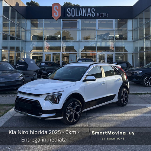 Kia Niro Hybrid 1.6 Gdi Lx Plus Dct