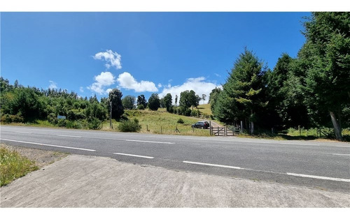 Imagen 9 de 13 de Parcelas De 5.000 M2 A Orillas Del Lago Llanquihue