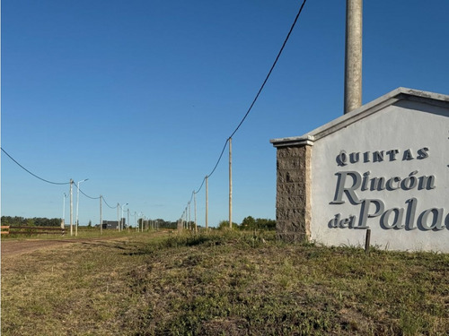 Vendo Lote De 1 Hectárea En San Justo, Entre Ríos.
