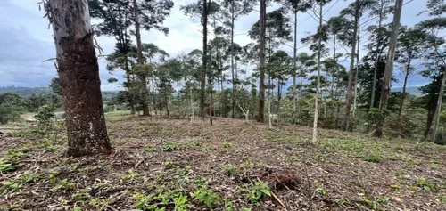 Lote En Venta Ubicado En El Retiro Sector Don Diego (26671).