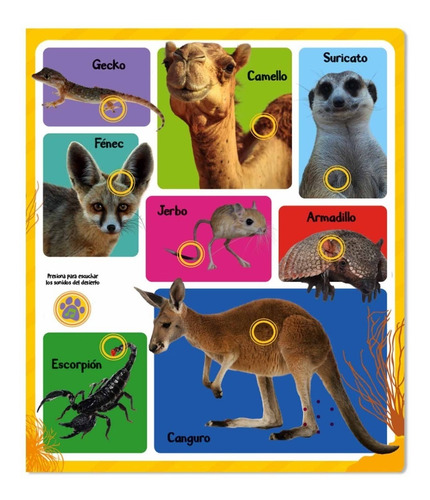 Imagen 3 de 8 de Sonidos De Animales (tapa Dura) / Lexus