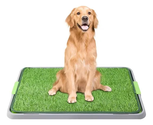 Baño Pet Potty Para Perros Reutilizable Sanitario Mascotas