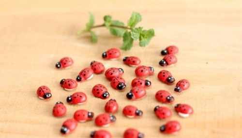 Imagen 8 de 10 de 50 Mariquitas Miniaturas Con Adhesivo