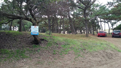 Imagen 2 de 4 de Lote Multifamiliar Hotelero