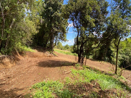 Z O N A S U R. C L Parcelas Orilla Y Acceso Lago Huilipilun
