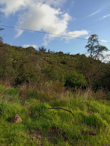 63 Hectáreas 160 Millones.vendo.san Pedro, Melipilla.