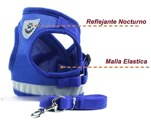 Pechera Malla Para Perros Razas Pequeñas + Correa