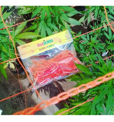 Imagen 4 de 5 de Red Malla Tutora Cultivo 80 X 80 Scrog Indoor Better Grow