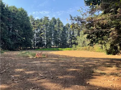 Terreno en venta