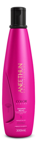 Kit Shampoo Finalizador Proteção Color System Aneethun