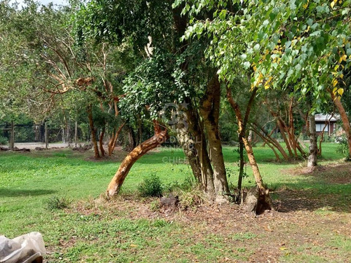 Sitio A Pasos De Lago Calafquén