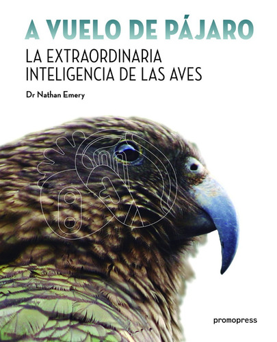 A Vuelo De Pájaro