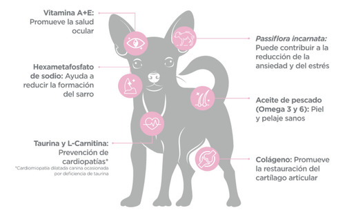 Nupec Nutrición Científica Raza Mini Perro Senior 1kg