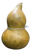 Comprar Guaje Bule Grande Para Agua, Jarabes, Fermentar Tos Asma