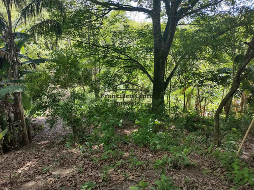 Imagem 10 de 28 de Terreno À Venda No Bairro Pilões - Guaratinguetá/sp - Tr009