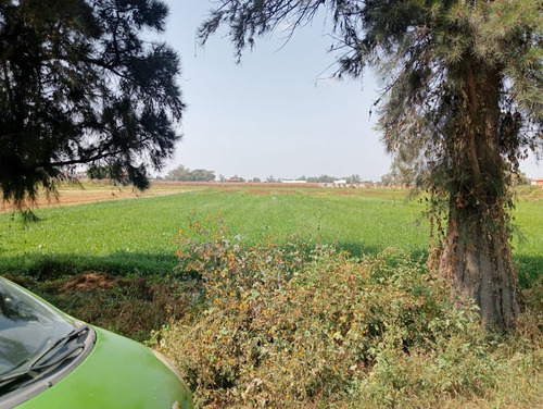 Terreno En Venta En San Felipe Texcoco De Mora Estado De Mèxico