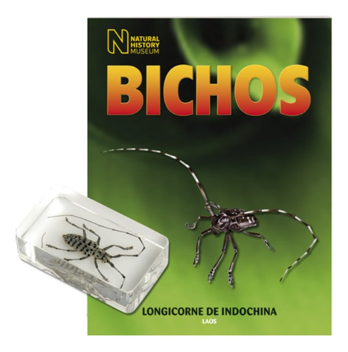 Revista Bichos #24 Longicorne De Indochina - Laos Y Fascícul (Usado)