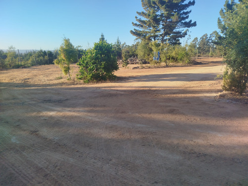 Venta Parcela 5000mts Algarrobo