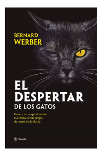 El Despertar De Los Gatos Bernard Werber