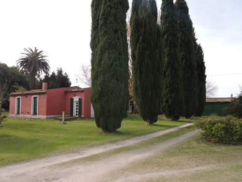 Imagen 6 de 17 de 3,6 Ha Casa Quinta En Veronica Con Galpon Y Local Comercial