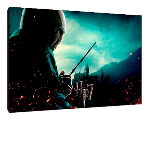 Cuadros Poster Harry Potter M 20x29 (mas (19))