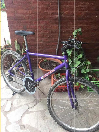 Bicicleta Mountain Bike. 18 Cambios. Rodado 24